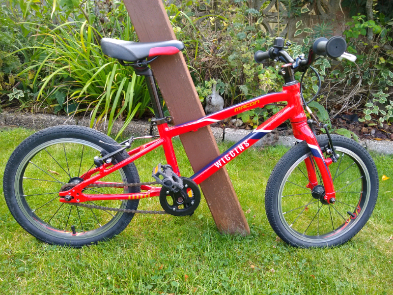 wiggins 18 inch bike